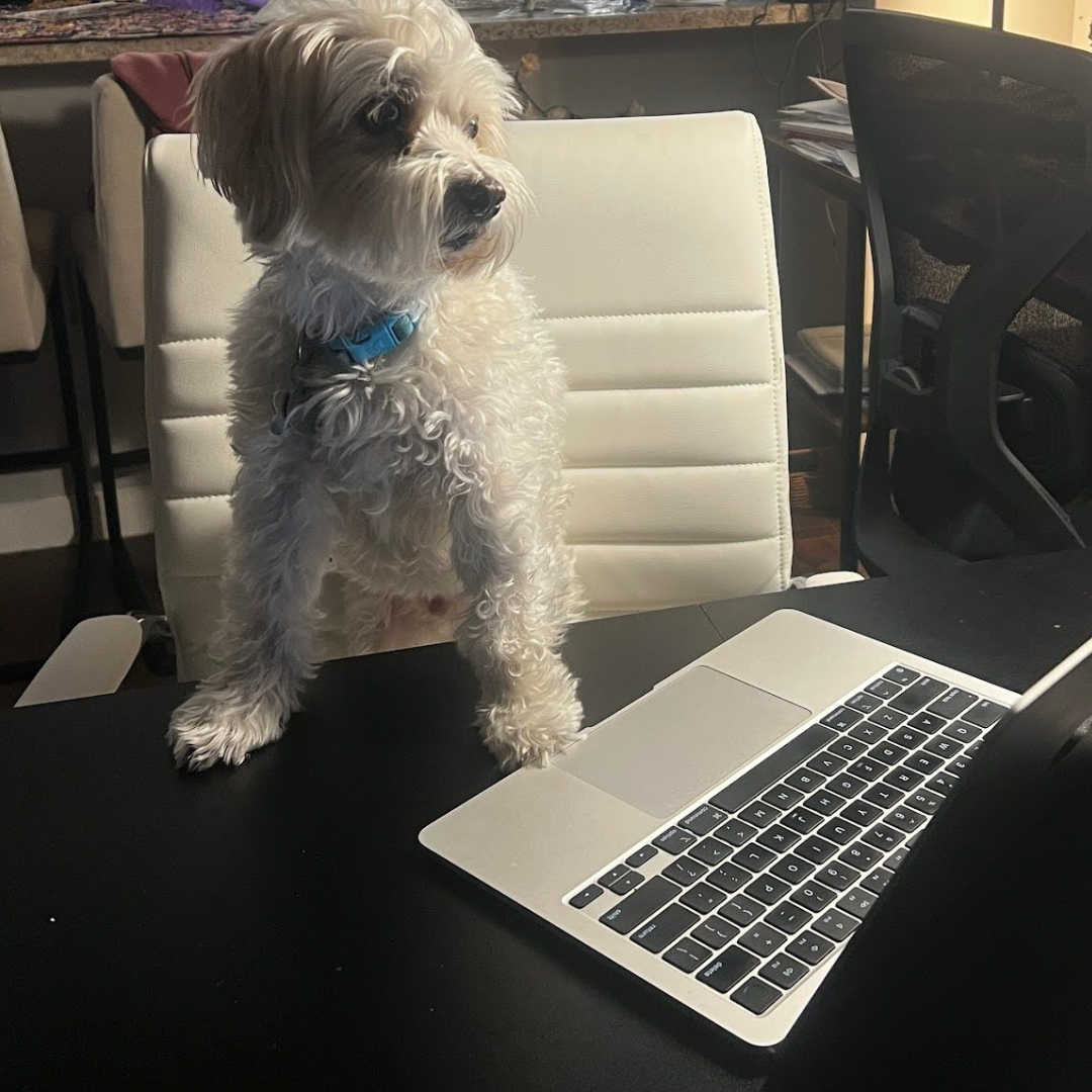Milo